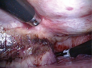 Click on image to zoom