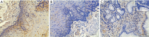 Click on image to zoom