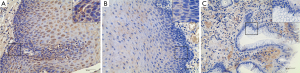 Click on image to zoom