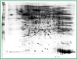Click on image to zoom