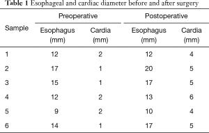 Click on image to zoom Table 1