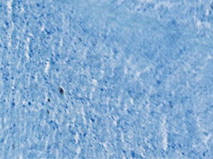 Click on image to zoom