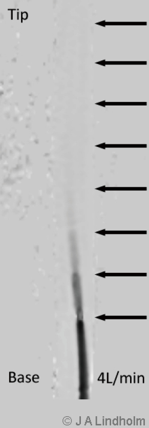 Click on image to zoom