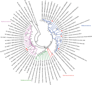 Click on image to zoom