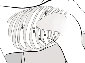 Click on image to zoom