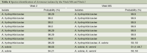 Table 4