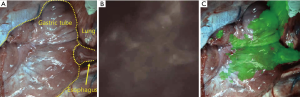 Click on image to zoom