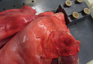 Click on image to zoom