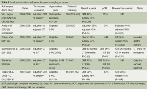 Click on image to zoom Table 1