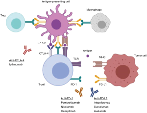 Click on image to zoom