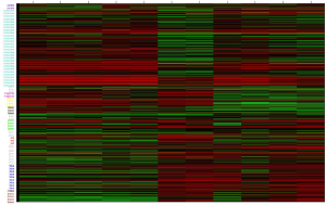 Click on image to zoom