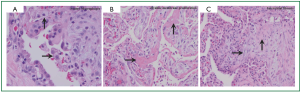 Click on image to zoom Figure 2