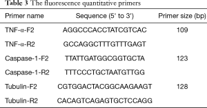 Click on image to zoom Table 3