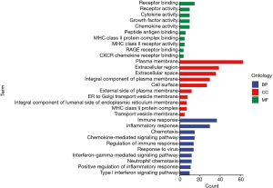 Click on image to zoom