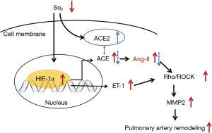 Click on image to zoom