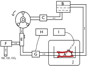 Click on image to zoom