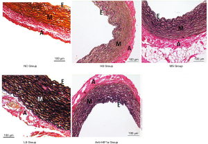 Click on image to zoom