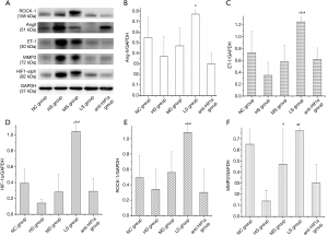 Click on image to zoom