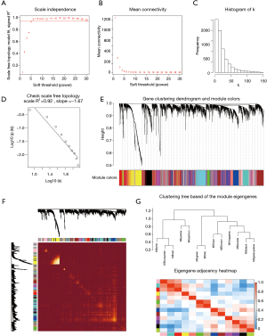 Click on image to zoom