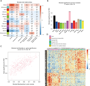 Click on image to zoom