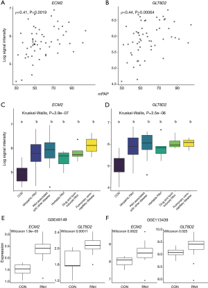 Click on image to zoom