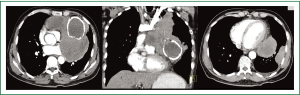Click on image to zoom Figure 2