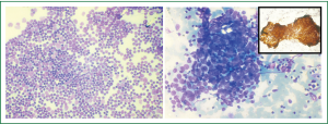Click on image to zoom Figure 3