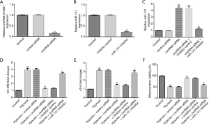 Click on image to zoom