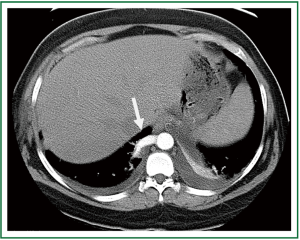 Click on image to zoom Figure 3