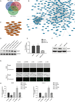 Click on image to zoom