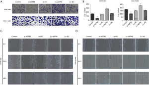 Click on image to zoom