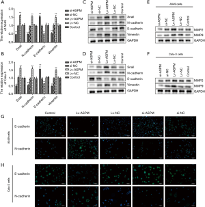 Click on image to zoom