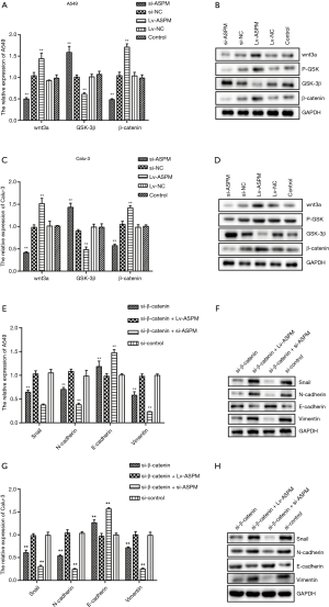 Click on image to zoom