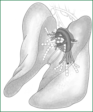 Click on image to zoom Figure 8