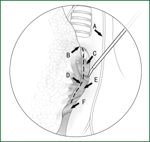 Click on image to zoom Figure 9