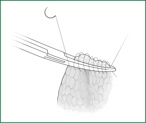 Click on image to zoom Figure 16