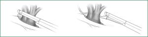 Click on image to zoom Figure 20