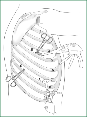 Figure 36