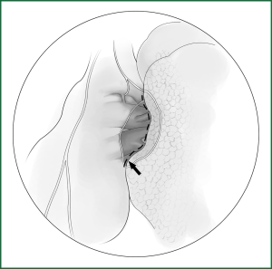 Click on image to zoom Figure 40