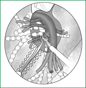 Click on image to zoom Figure 50