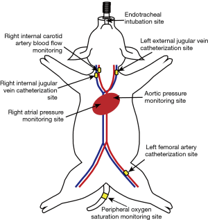 Click on image to zoom