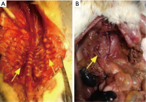 Click on image to zoom