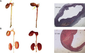 Click on image to zoom