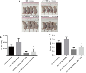 Click on image to zoom