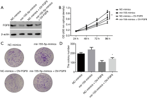 Click on image to zoom