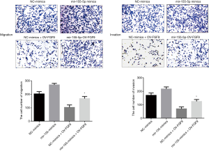 Click on image to zoom