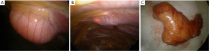Click on image to zoom