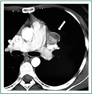Click on image to zoom Figure 1