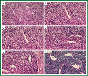 Click on image to zoom Figure 5