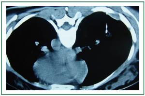Click on image to zoom Figure 1